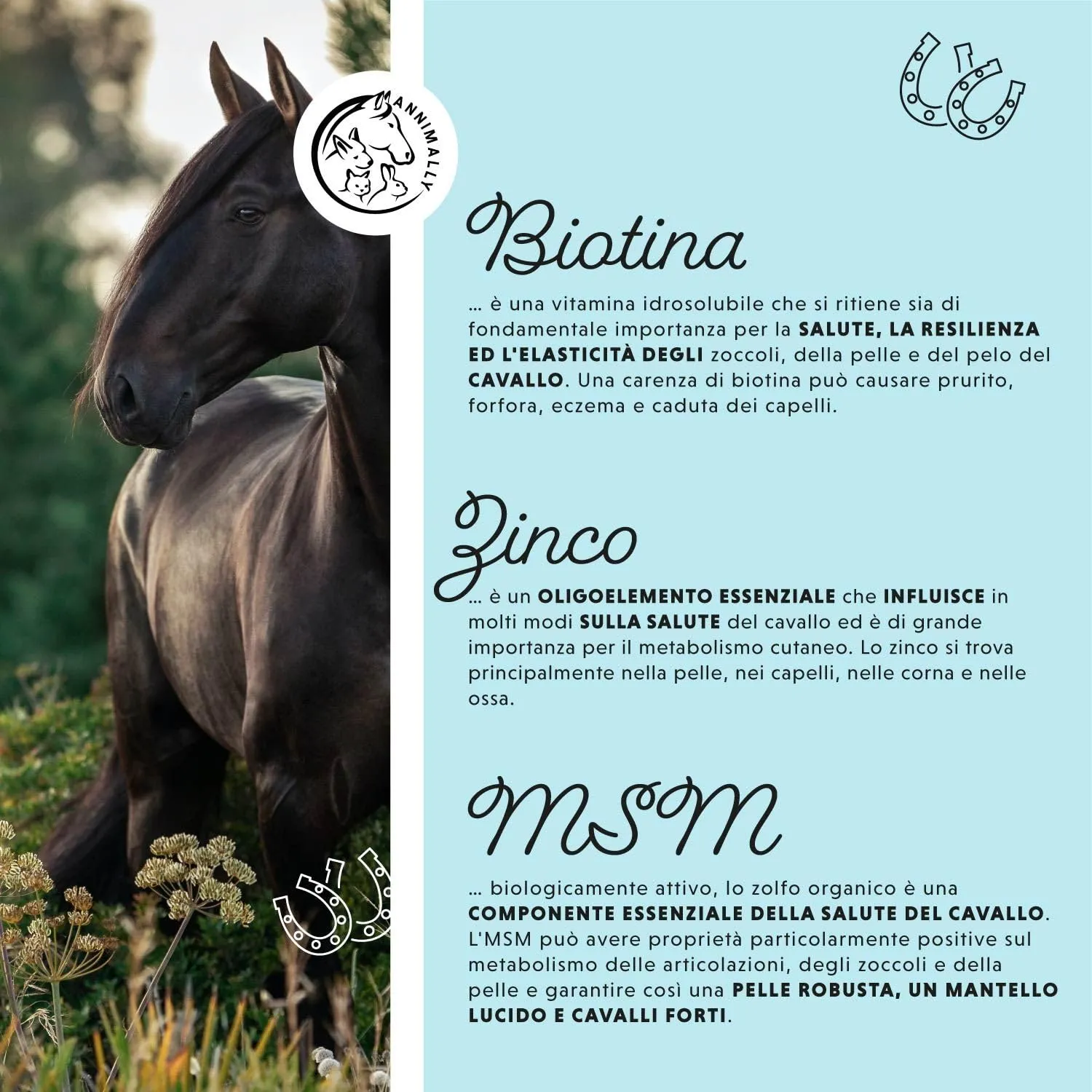 Annimally Biotin Zinc Liquido per Cavalli, 1000 ml - immagine 4