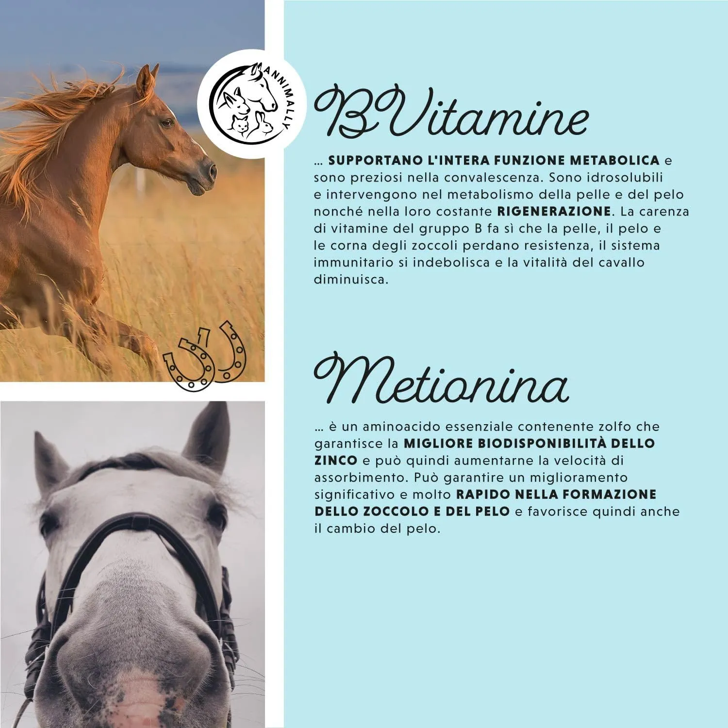 Annimally Biotin Zinc Liquido per Cavalli, 1000 ml - immagine 5