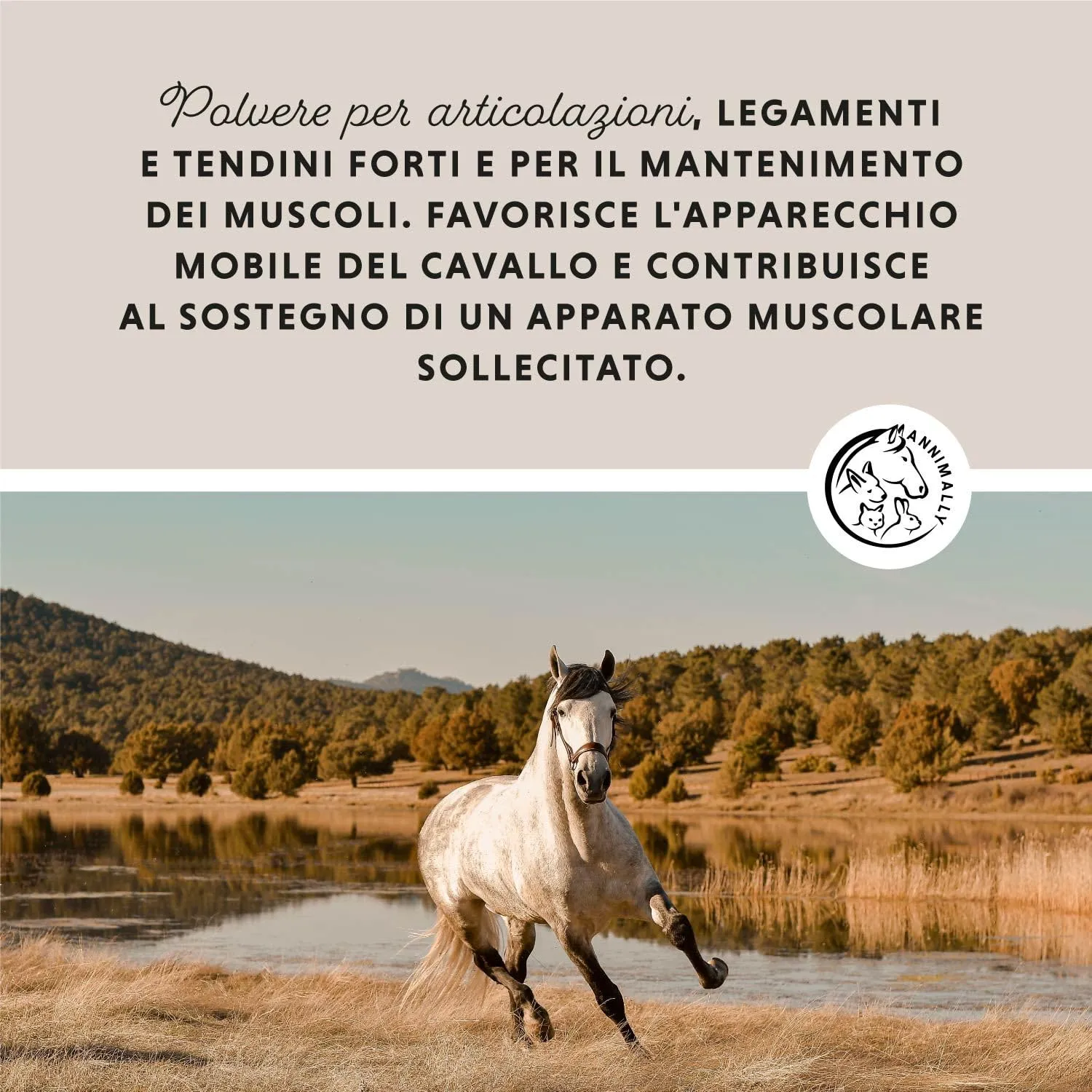 Annimally Polvere per Articolazioni Cavalli 850g con MSM, Glucosamina, Condroitina e Artiglio del Diavolo - immagine 2