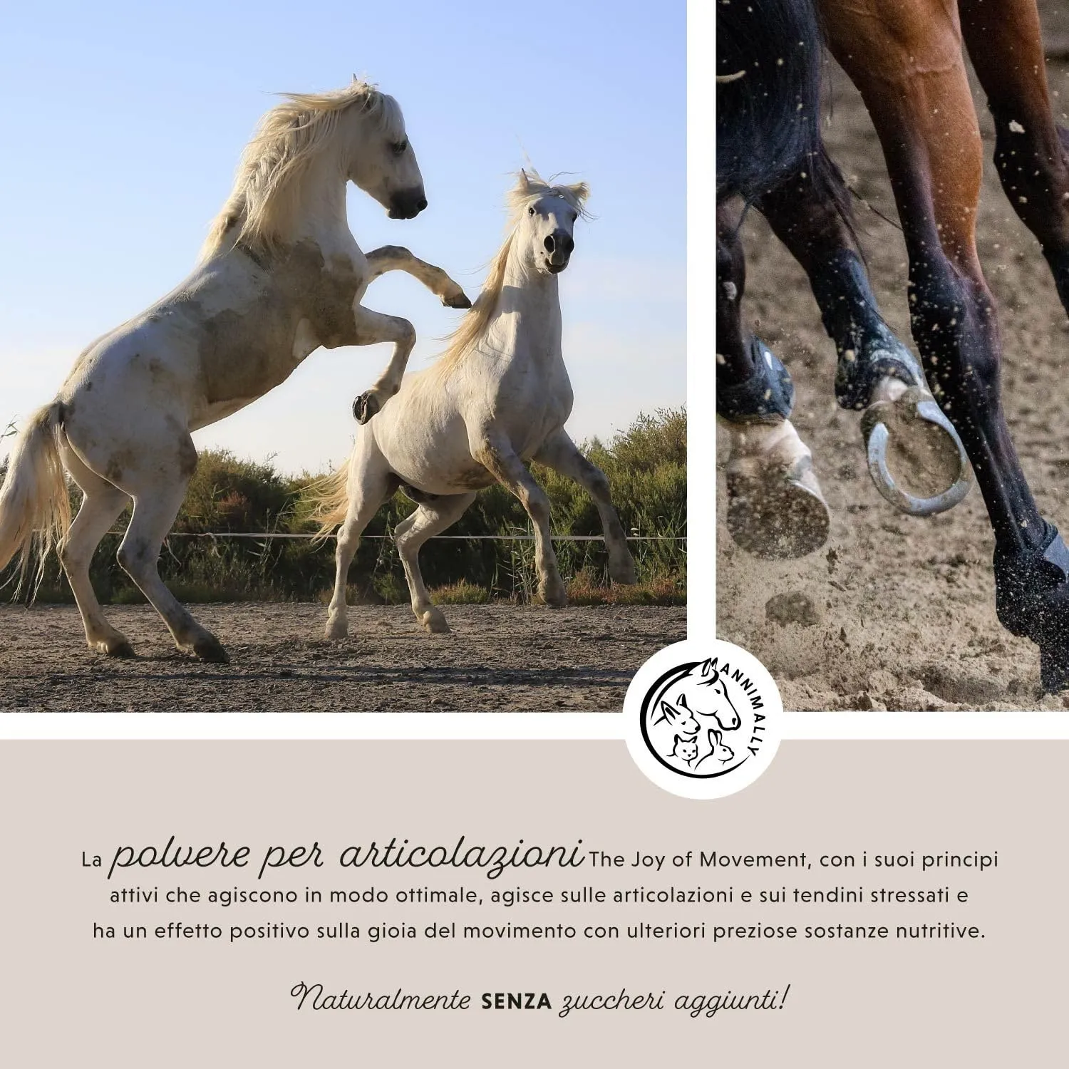 Annimally Polvere per Articolazioni Cavalli 850g con MSM, Glucosamina, Condroitina e Artiglio del Diavolo - immagine 3