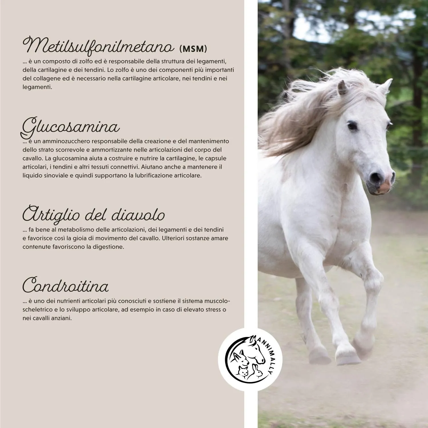 Annimally Polvere per Articolazioni Cavalli 850g con MSM, Glucosamina, Condroitina e Artiglio del Diavolo - immagine 4