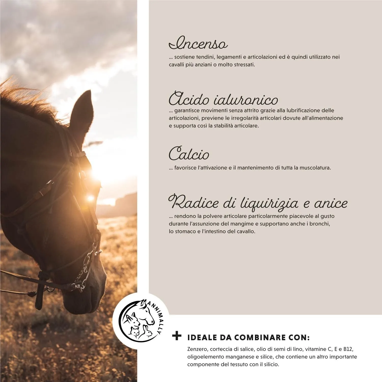 Annimally Polvere per Articolazioni Cavalli 850g con MSM, Glucosamina, Condroitina e Artiglio del Diavolo - immagine 6