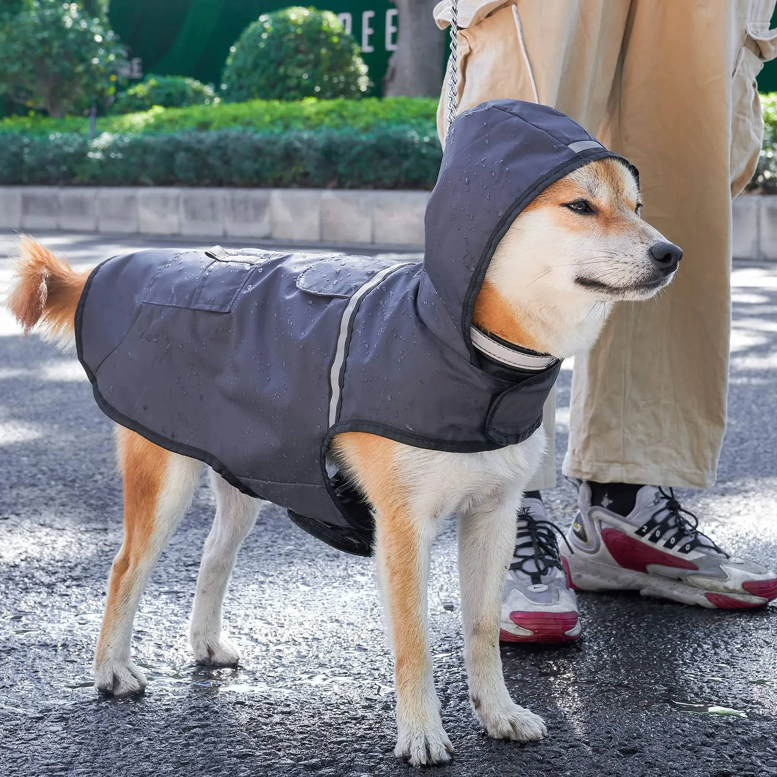 KoKoBin Giacca Impermeabile Riflettente per Cani con Cappuccio, Grigio, L - immagine 6