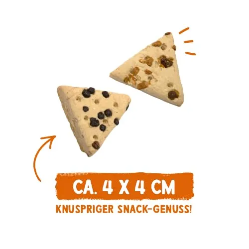 Sammy's Hundesnacks Barretta alla frutta con mele e sambuco per cani, 4 x 800 g - immagine 4