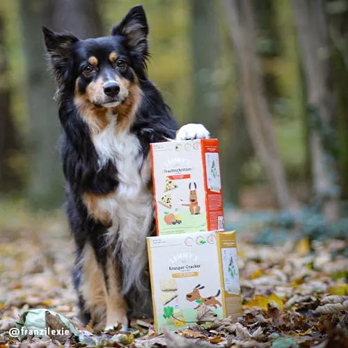 Sammy's Hundesnacks Barretta alla frutta con mele e sambuco per cani, 4 x 800 g - immagine 5