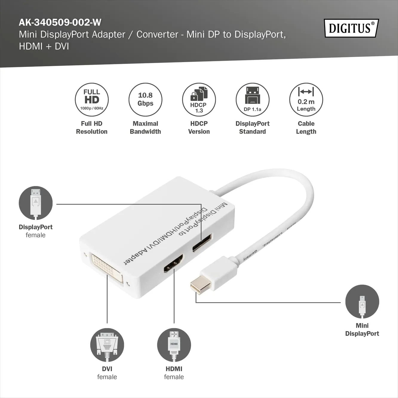 Digitus AK340509002W Adattatore da Mini DisplayPort a HDMI, DVI e DisplayPort - immagine 2
