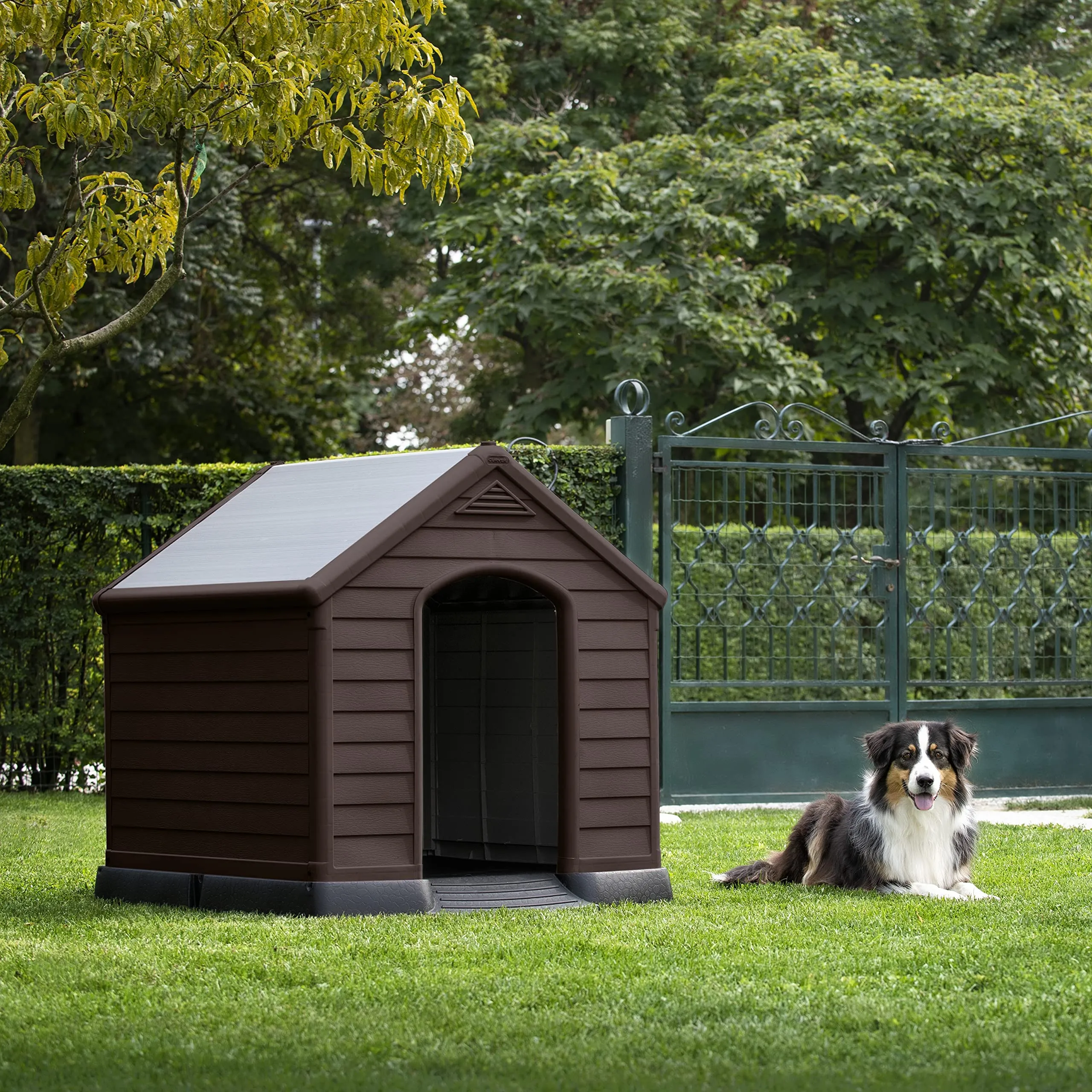 Curver Keter Cuccia per Cane, Marrone, 95 x 99 x 99H cm - immagine 2