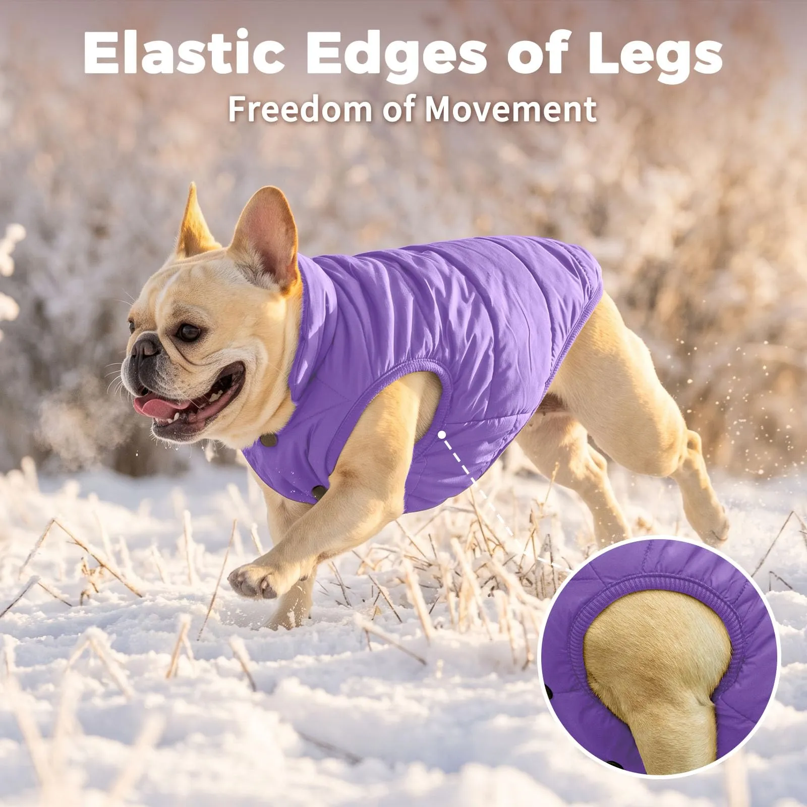 JoyDaog Giacca invernale foderata in pile per cani, antivento, Viola, XL - immagine 7
