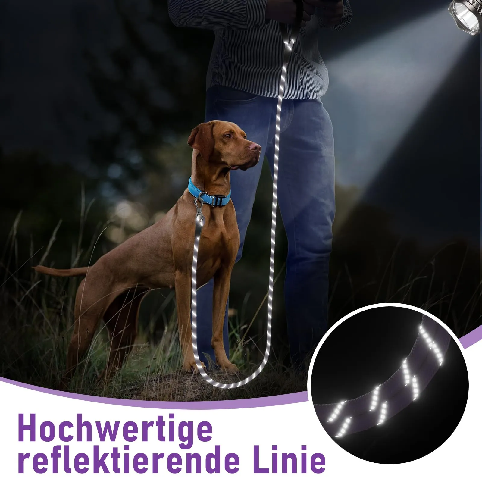 X XBEN Guinzaglio Addestramento per Cani, 5M, Nylon, con Gancio di Sicurezza e Maniglia Imbottita - immagine 6