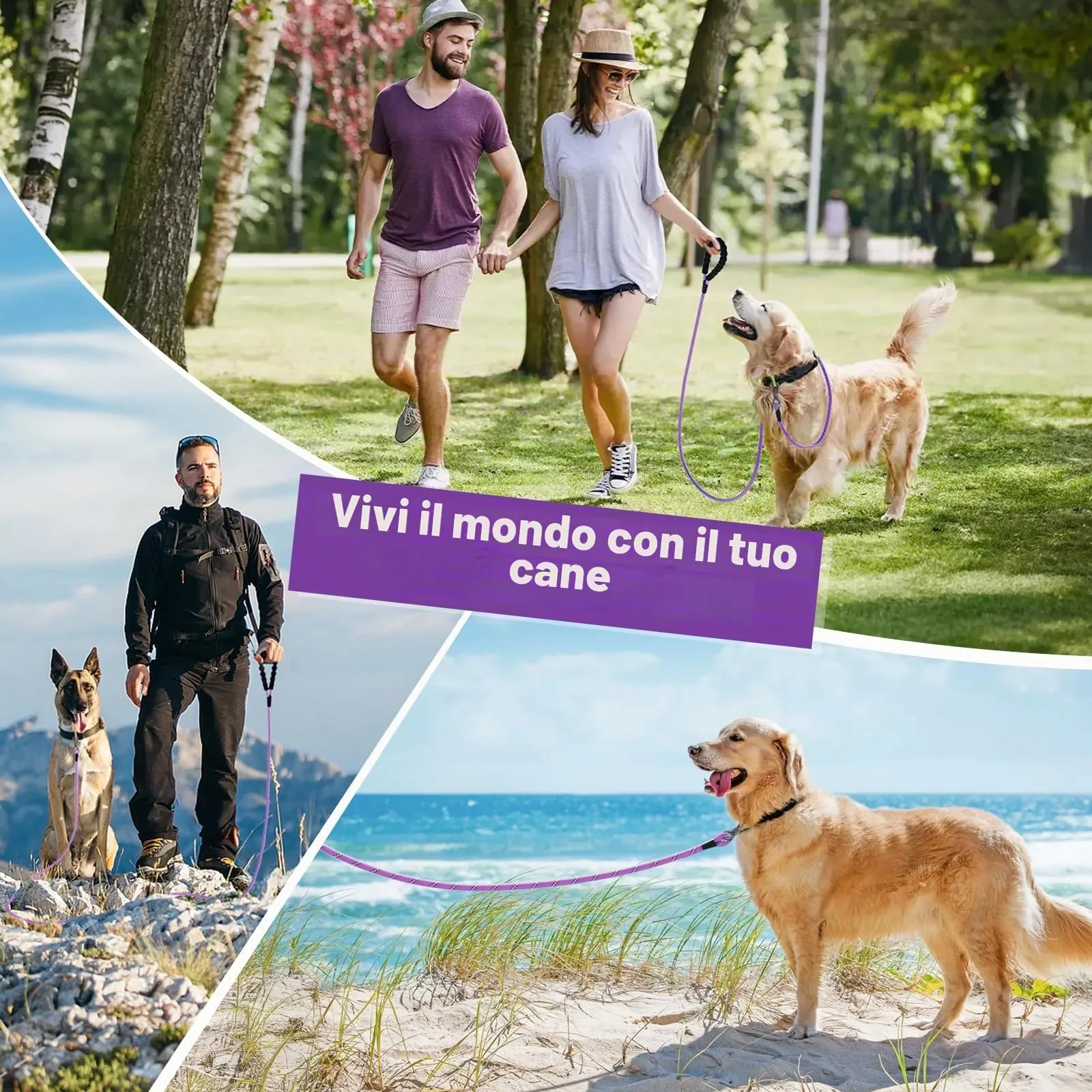 X XBEN Guinzaglio Addestramento per Cani, 5M, Nylon, con Gancio di Sicurezza e Maniglia Imbottita - immagine 7