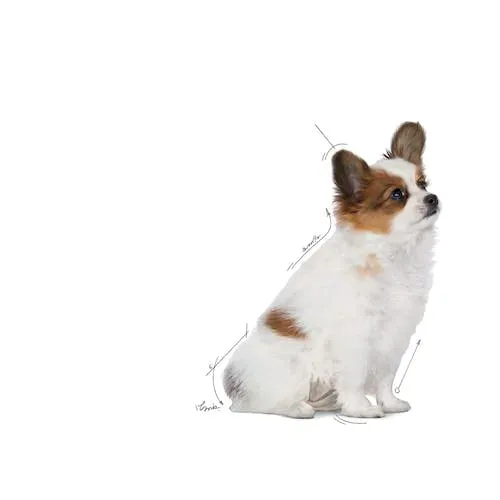 Royal Canin X-Small Puppy, Alimento secco per cuccioli di razze molto piccole, 2 x 500 g - immagine 5