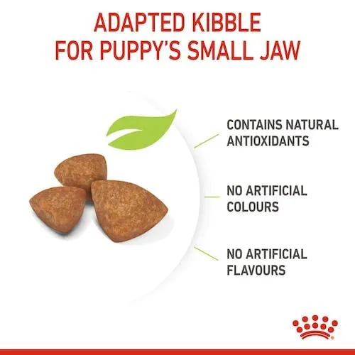 Royal Canin X-Small Puppy, Alimento secco per cuccioli di razze molto piccole, 2 x 500 g - immagine 6