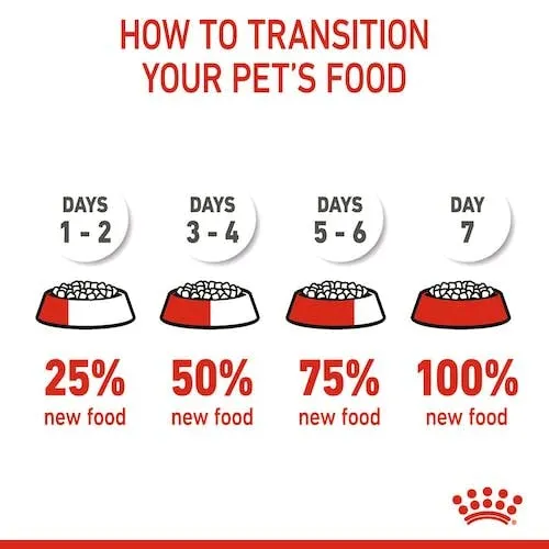 Royal Canin X-Small Puppy, Alimento secco per cuccioli di razze molto piccole, 2 x 500 g - immagine 7