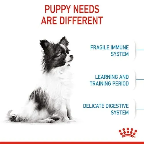 Royal Canin X-Small Puppy, Alimento secco per cuccioli di razze molto piccole, 2 x 500 g - immagine 8