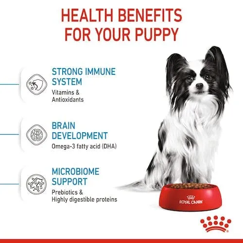 Royal Canin X-Small Puppy, Alimento secco per cuccioli di razze molto piccole, 2 x 500 g - immagine 9