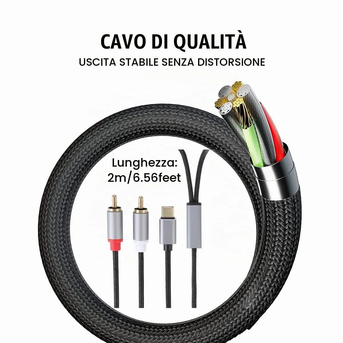 Greluma Cavo Audio da USB-C a 2 RCA, 2 metri - immagine 3