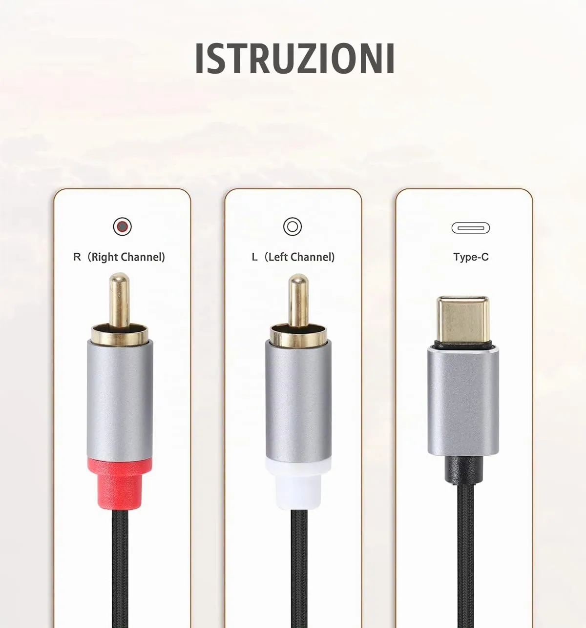 Greluma Cavo Audio da USB-C a 2 RCA, 2 metri - immagine 4