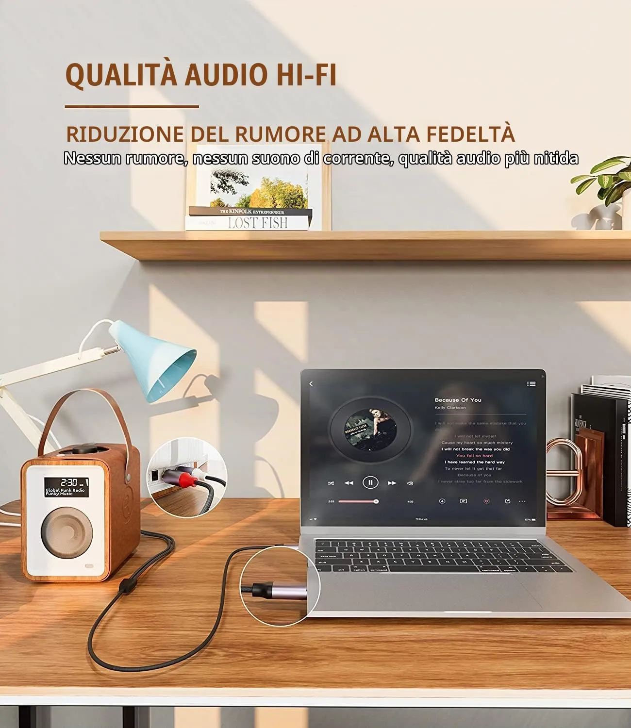 Greluma Cavo Audio da USB-C a 2 RCA, 2 metri - immagine 6
