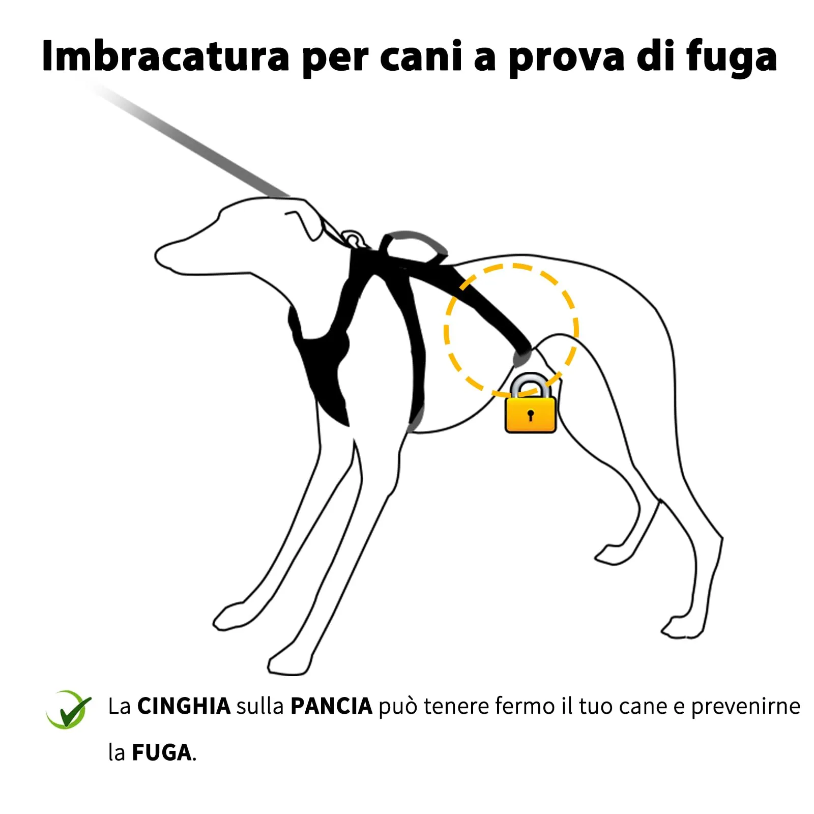 Huntboo Pettorina a prova di fuga per cani di piccola taglia, riflettente e traspirante con manico, Nero - immagine 3