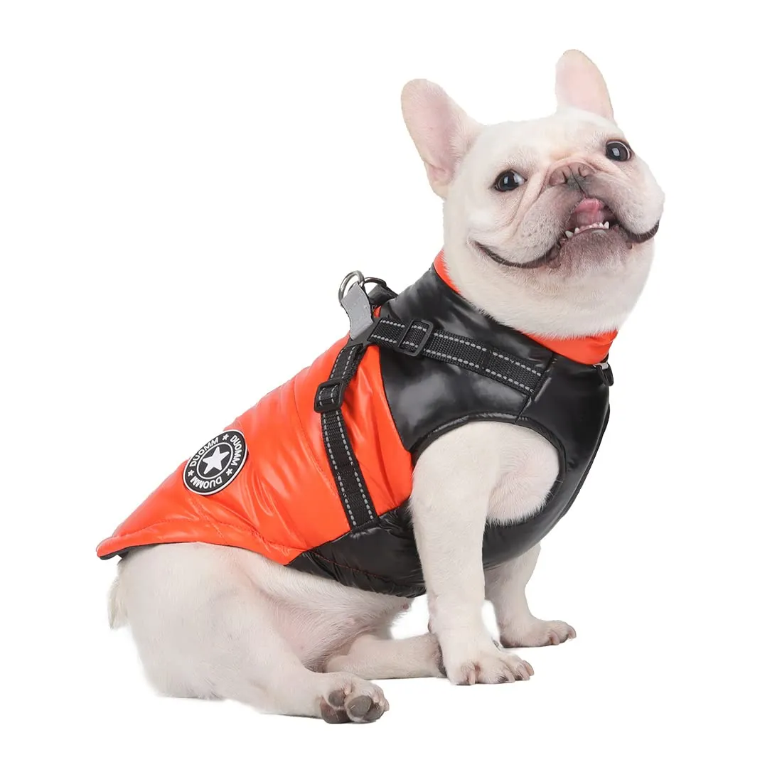 DoggieKit Cappotto Impermeabile e Riflettente per Cani e Gatti, Giacca in Cotone per Inverno, Taglia L, Arancia - immagine 1