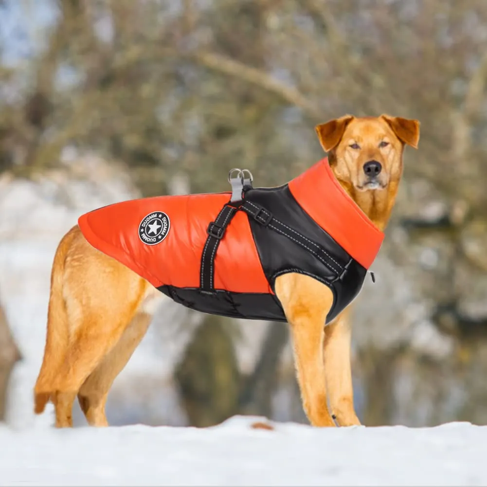 DoggieKit Cappotto Impermeabile e Riflettente in Cotone per Cani e Gatti, Taglia S - immagine 5
