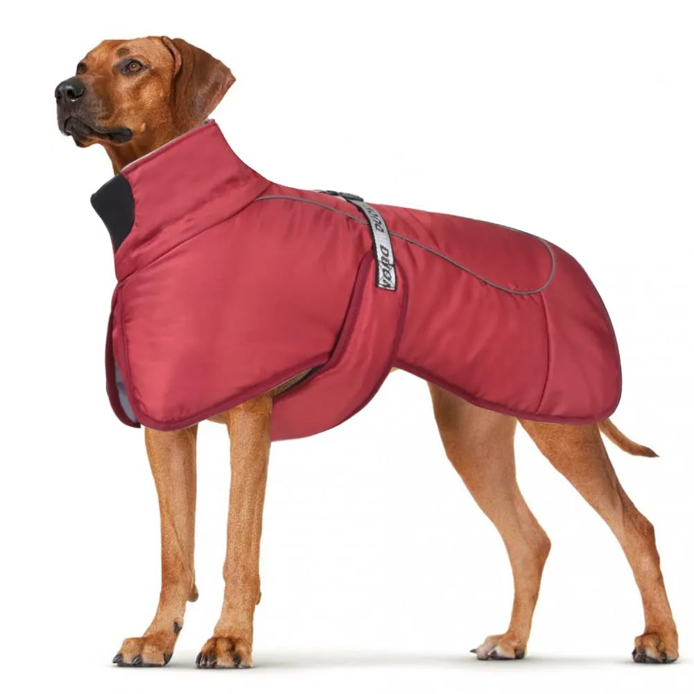 DoggieKit Giacca per Cani Impermeabile e Antivento Invernale con Strisce Riflettenti e Foro per Imbracatura, Taglia 5XL, Rosso - immagine 1