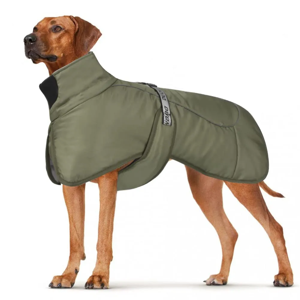 DoggieKit Cappotto per Cani Impermeabile Antivento Inverno con Strisce Riflettenti e Foro per Imbracatura, Verde, XL - immagine 1