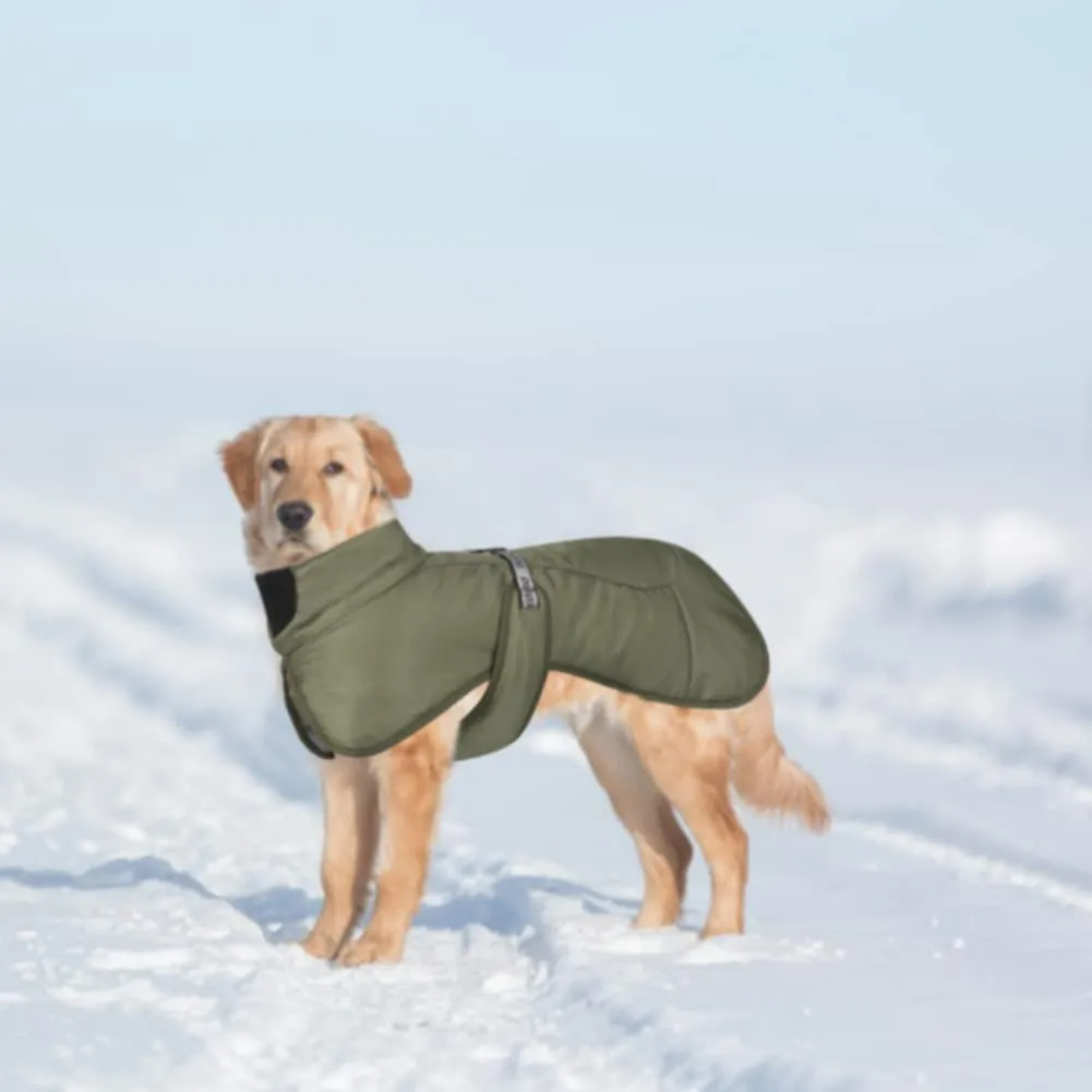 DoggieKit Giacca Impermeabile e Antivento per Cani, Calda per Inverno con Strisce Riflettenti e Foro per Imbracatura, Taglia 4XL, Verde - immagine 7
