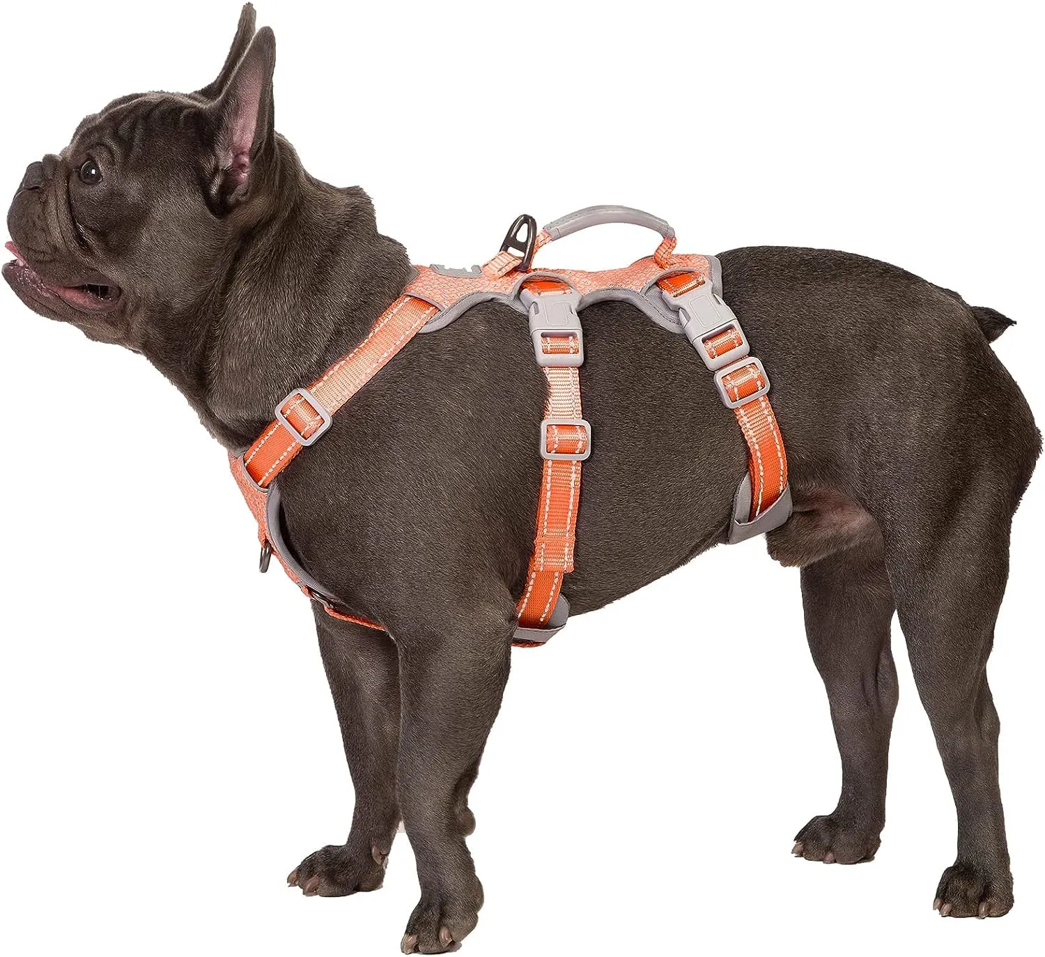 Huntboo Pettorina per cani No Escape, riflettente con impugnatura imbottita, traspirante e regolabile, taglia media - immagine 1