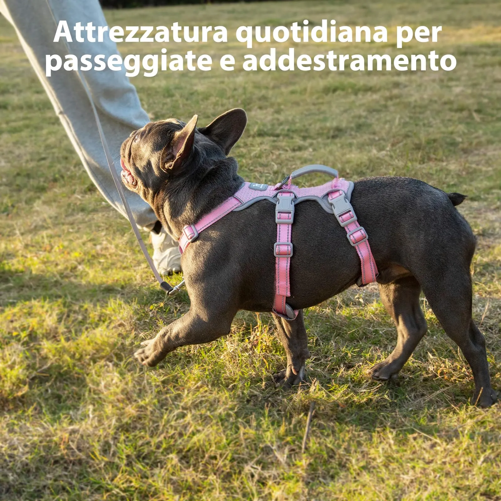 Huntboo Pettorina per Cani a Prova di Fuga Riflettente con Impugnatura Imbottita, Traspirante e Regolabile per Cani di Grossa Taglia, Rosa, Taglia L - immagine 7