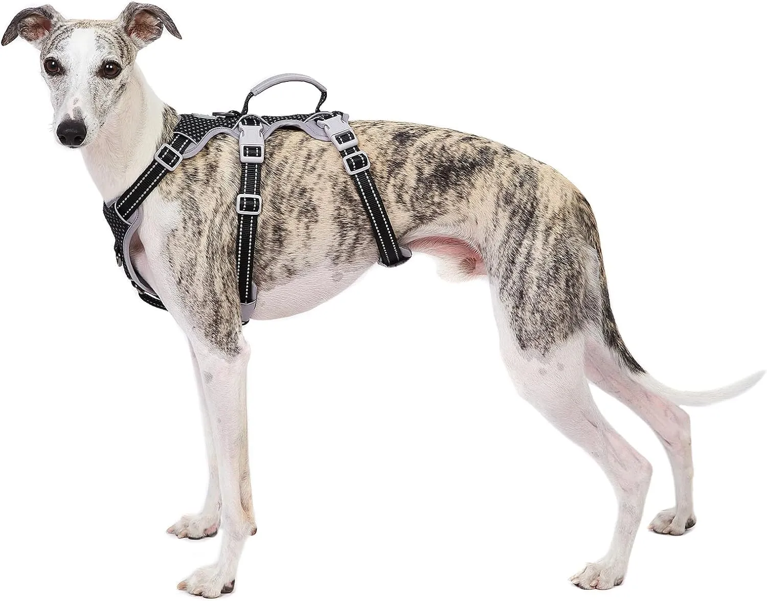 Huntboo Pettorina per cani a prova di fuga, riflettente con impugnatura imbottita, traspirante e regolabile per cani di grossa taglia, Nero, Taglia L - immagine 1
