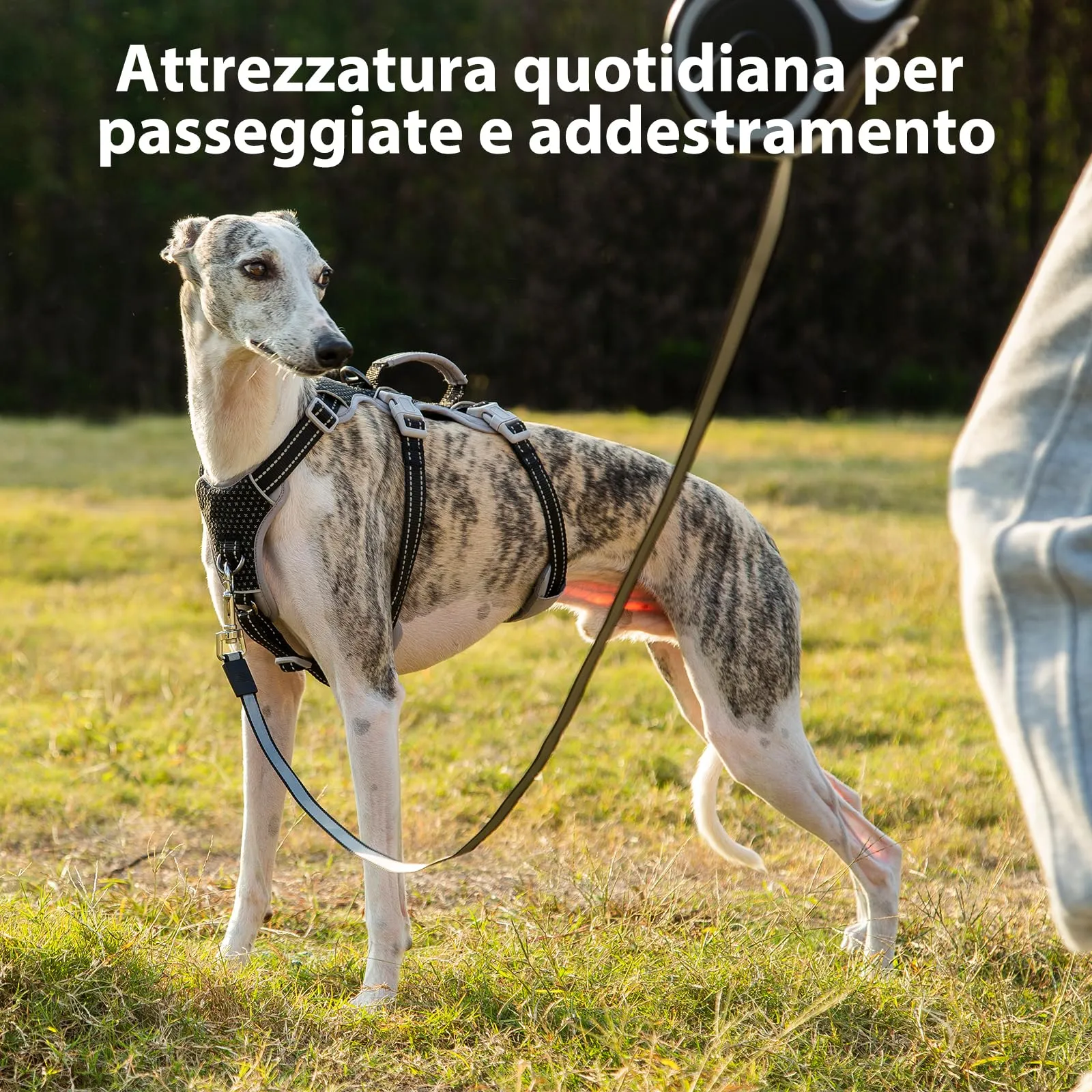 Huntboo Pettorina per cani a prova di fuga, riflettente con impugnatura imbottita, traspirante e regolabile per cani di grossa taglia, Nero, Taglia L - immagine 7