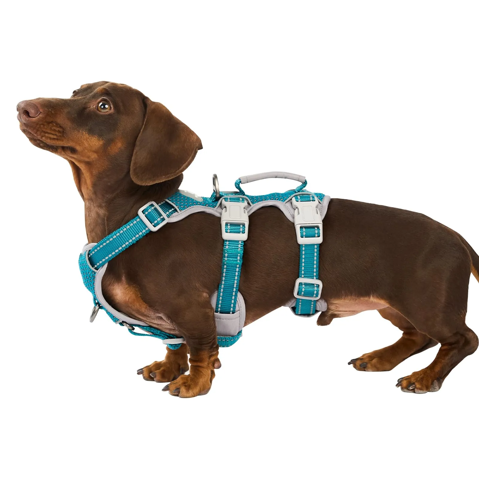 Huntboo Pettorina per Cani a Prova di Fuga, Riflettente, Anti-tiro con Maniglia e Clip per Guinzaglio Anteriore e Posteriore, Blu, Grande - immagine 1
