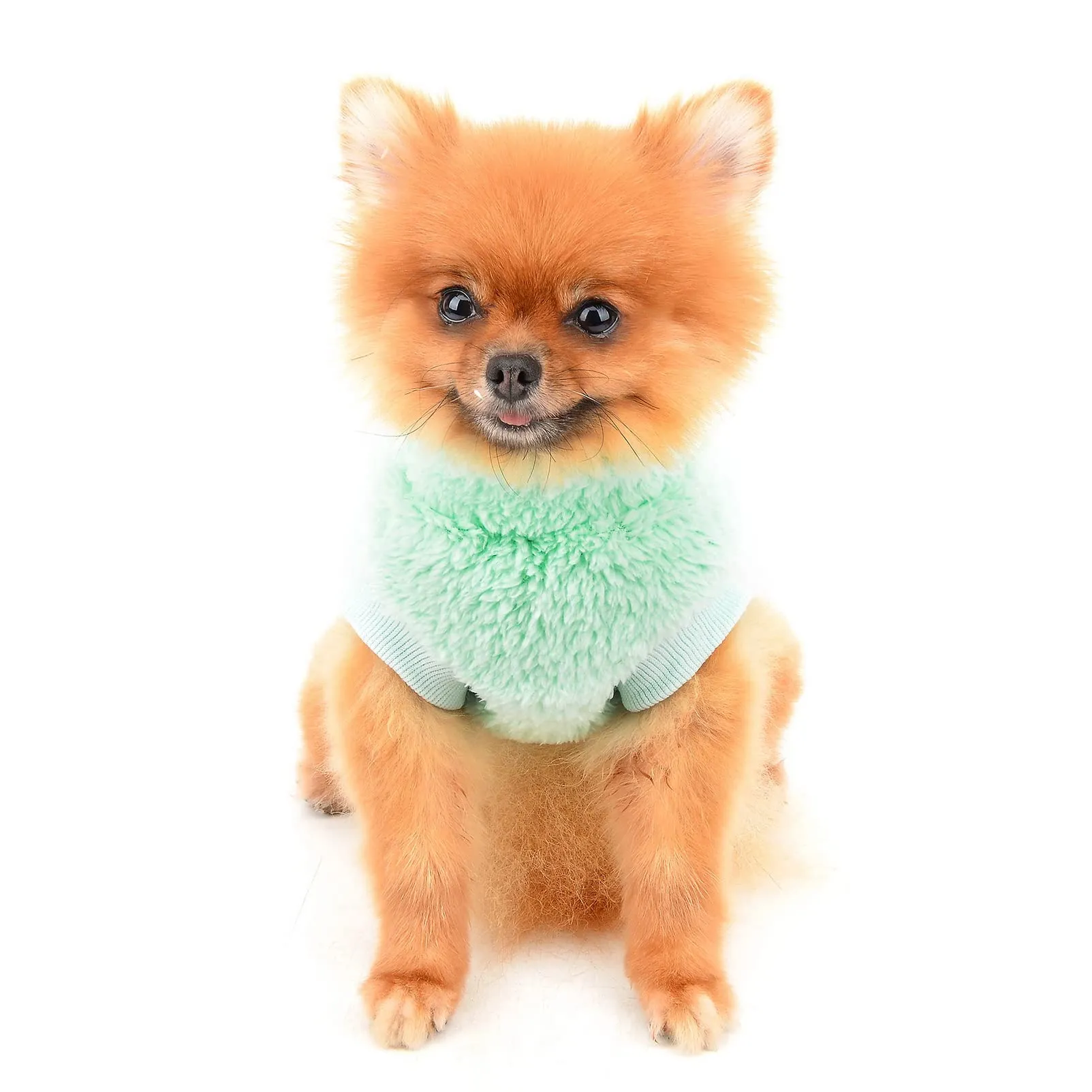 SMALLLEE_LUCKY_STORE Pet Sherpa Fleece Turtleneck Sweater with D-Ring for Small Dogs and Cats, Green, S - immagine 3