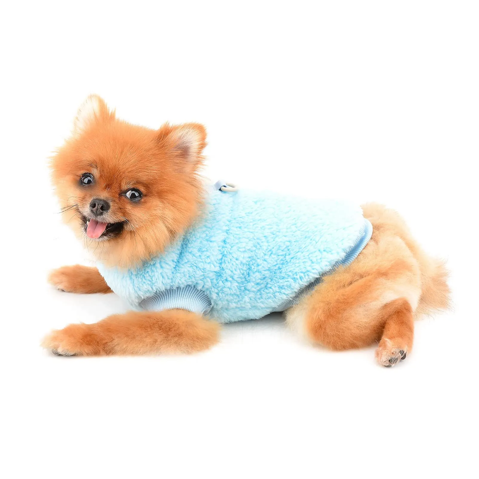SMALLLEE_LUCKY_STORE Pet Sherpa Fleece Turtleneck Sweater with D-Ring for Small Dogs and Cats, Blue, S - immagine 4