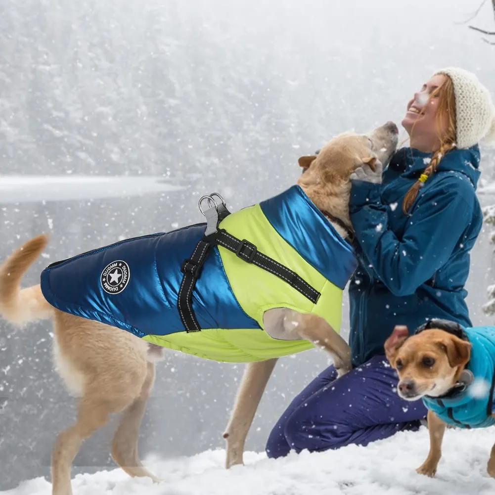 DoggieKit Cappotto Impermeabile Riflettente in Cotone per Cani e Gatti, Inverno, Blu, Taglia XXL - immagine 5