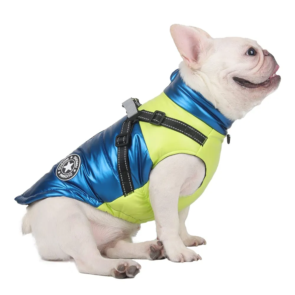 DoggieKit Cappotto Impermeabile e Riflettente per Cani e Gatti, In Cotone per Inverno, Taglia L, Blu - immagine 1