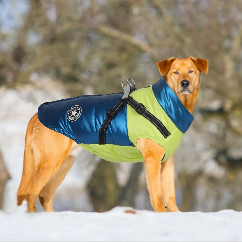 DoggieKit Cappotto Impermeabile e Riflettente per Cani e Gatti, Invernale in Cotone con Imbracatura, Taglia M - immagine 6