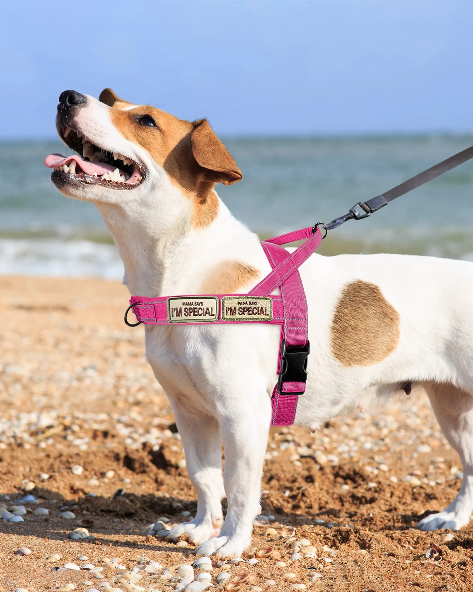 Eeyfarog Pettorina No Pull Riflettente per Cani di Piccola e Media Taglia, Regolabile, L, Pink - immagine 4