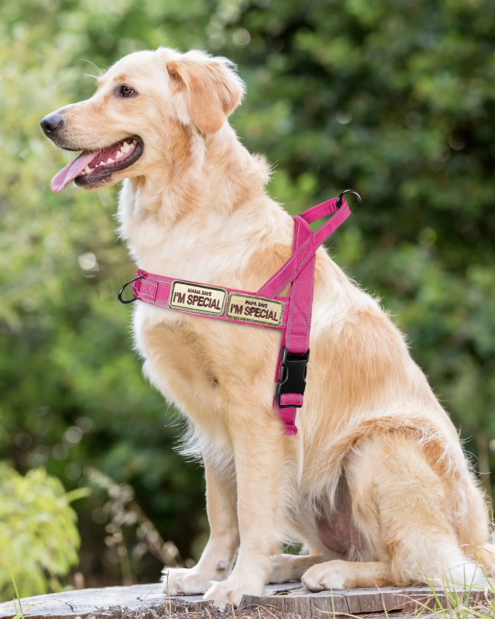 Eeyfarog Pettorina No Pull Riflettente per Cani di Piccola e Media Taglia, Regolabile, L, Pink - immagine 5
