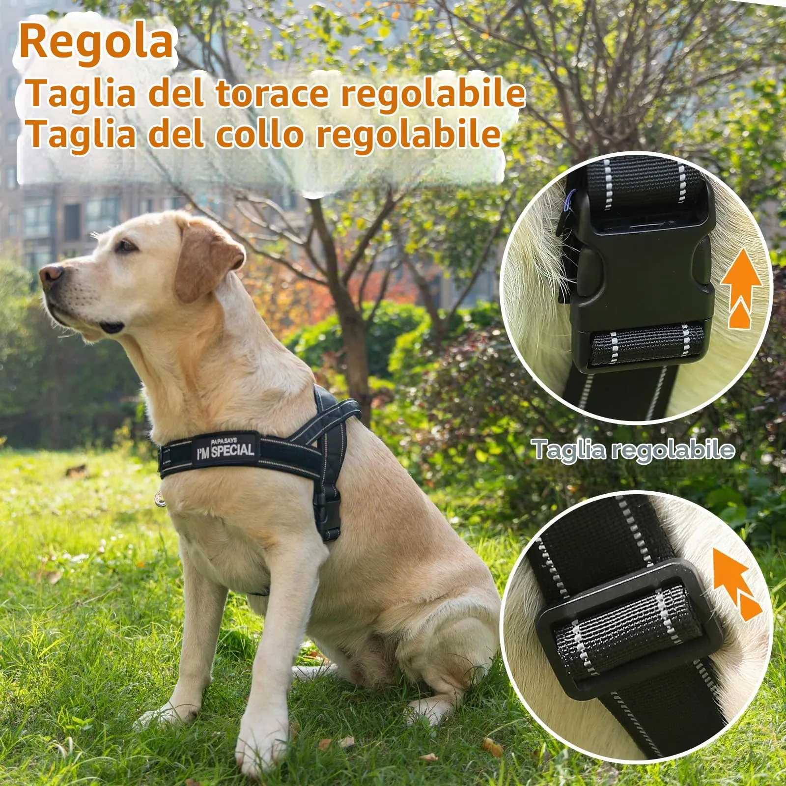 Eeyfarog Pettorina No Pull Riflettente e Regolabile per Cani di Piccola e Media Taglia, XL, Black - immagine 9