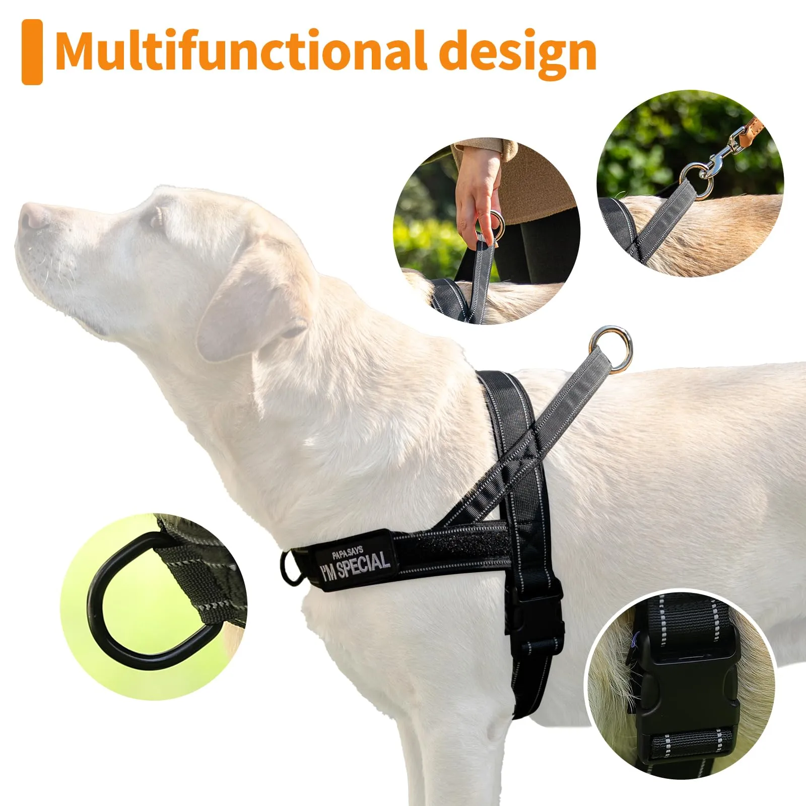 Eeyfarog Pettorina No Pull per Cani, Riflettente e Regolabile, XL, Green - immagine 2