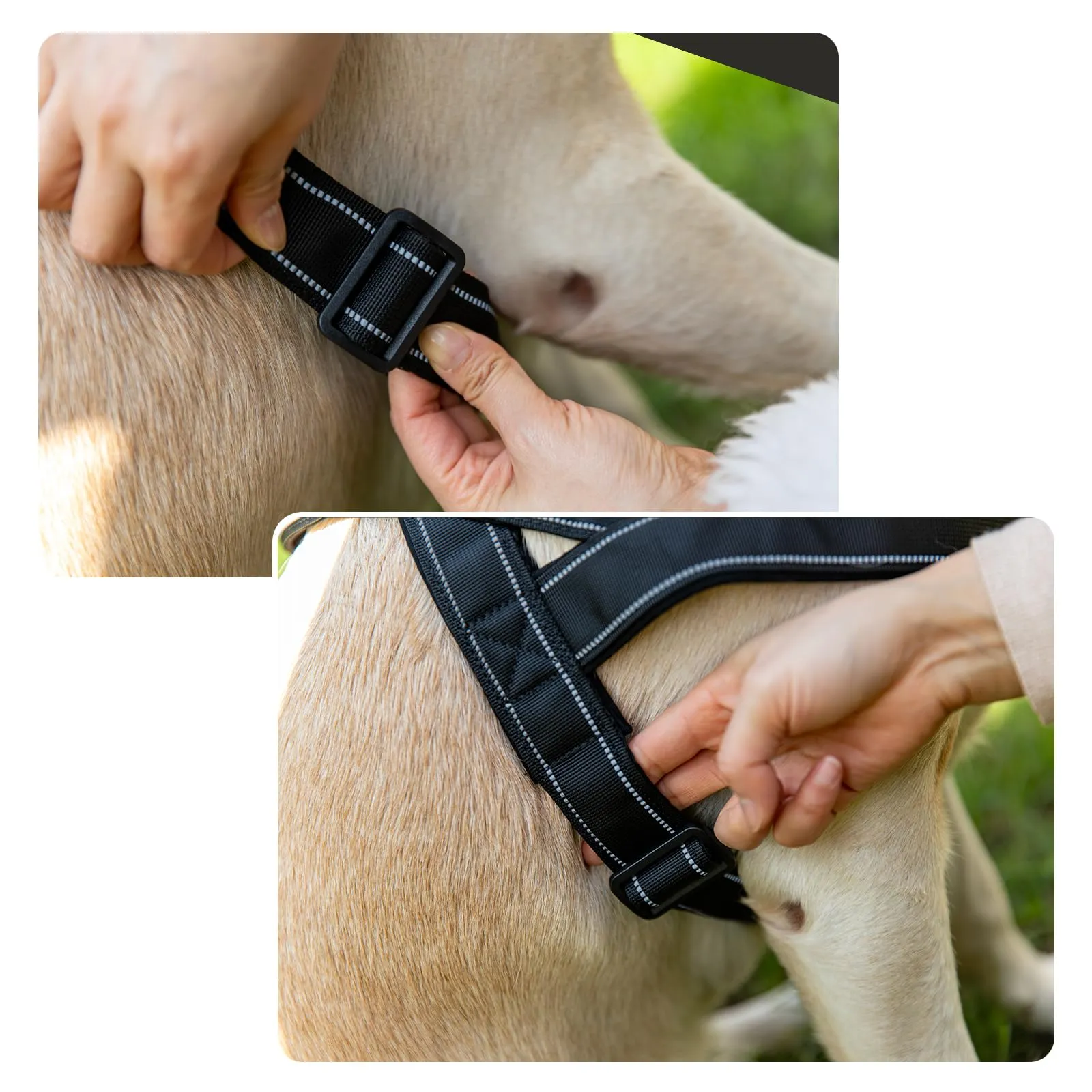 Eeyfarog Pettorina No Pull per Cani di Piccola e Media Taglia, Riflettente e Regolabile, Medium, Green - immagine 8