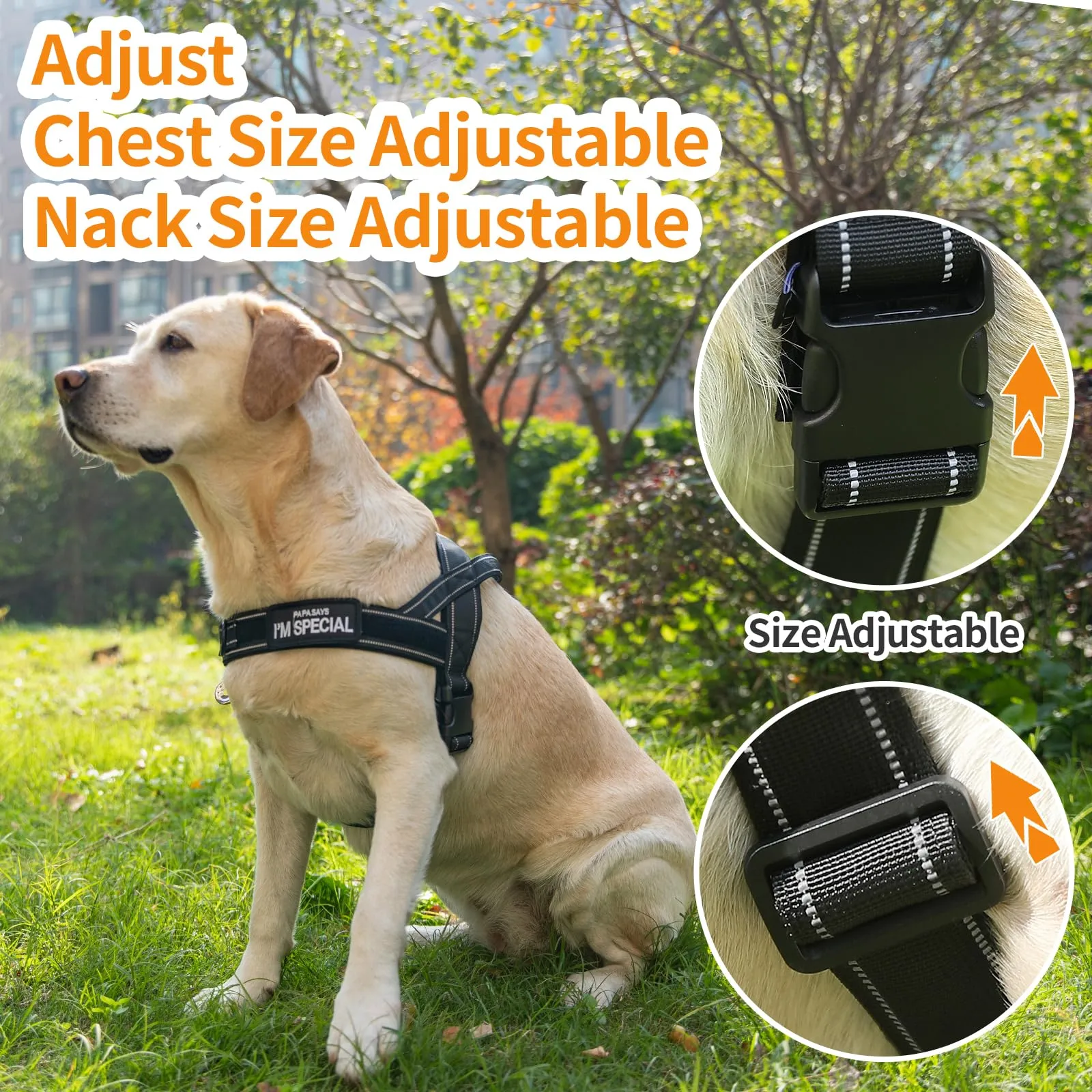 Eeyfarog Pettorina No Pull per Cani Piccola e Media Taglia, Riflettente e Regolabile, Nylon, M, Black - immagine 8