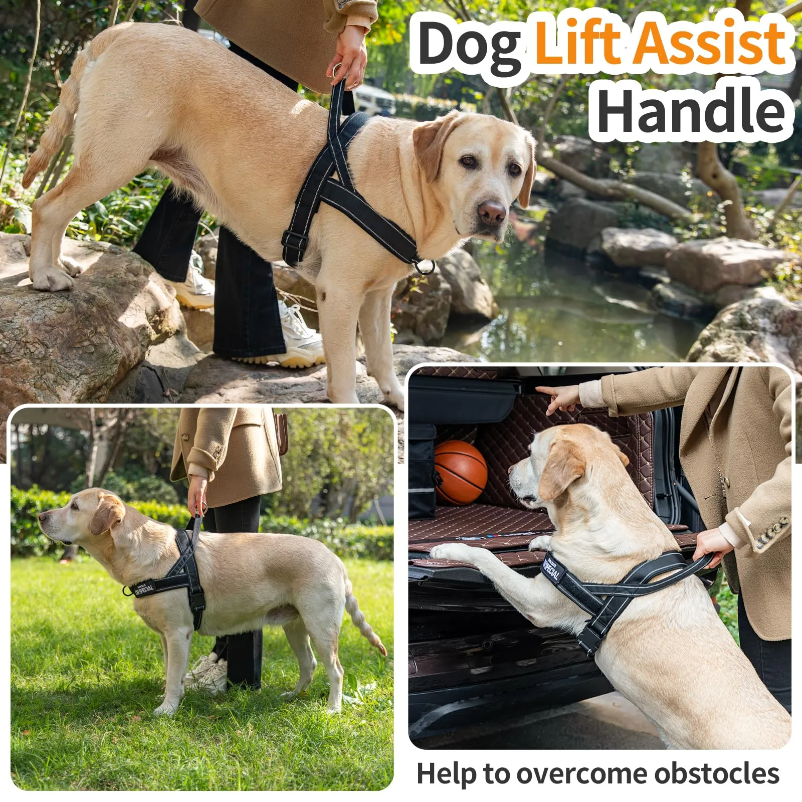 Eeyfarog Pettorina No Pull Riflettente e Regolabile per Cani di Piccola e Media Taglia, M, Pink - immagine 7