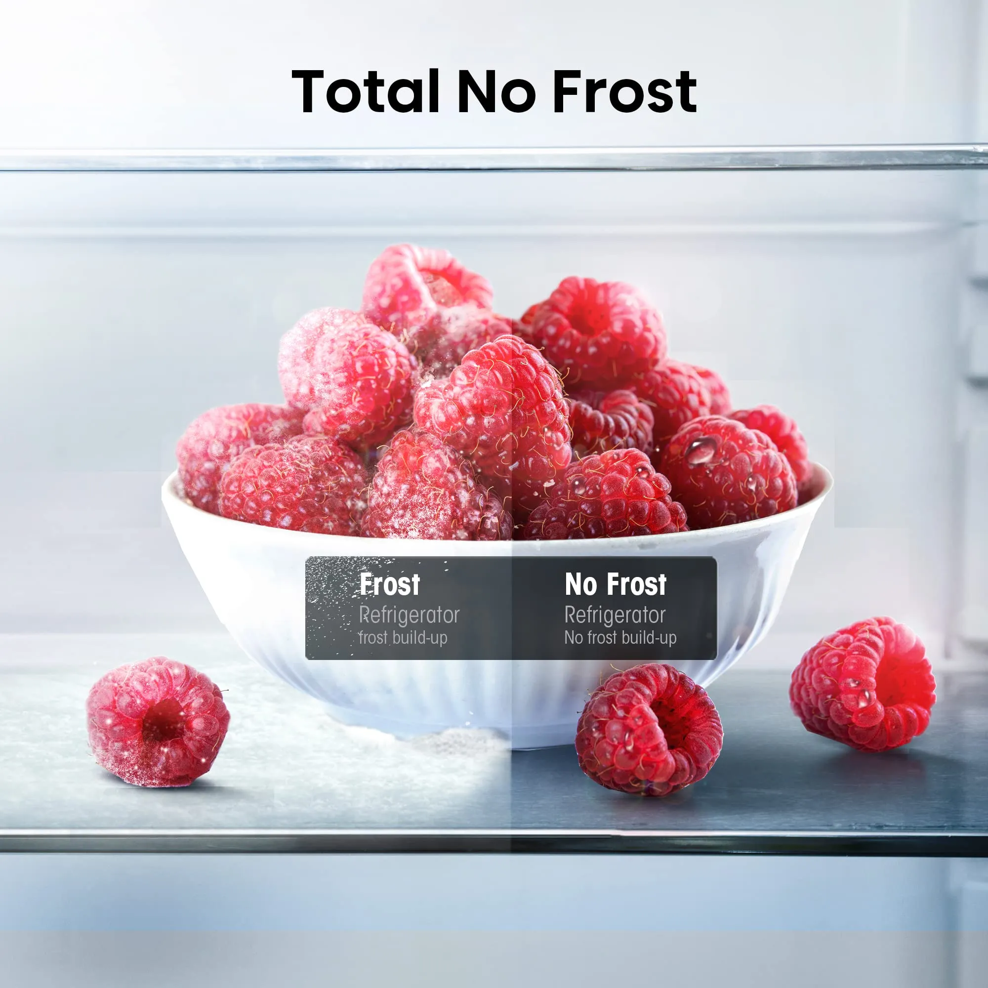 Hisense RB329N4AWE Frigorifero Combinato Total No Frost, 255 Litri, Classe E, Bianco - immagine 4