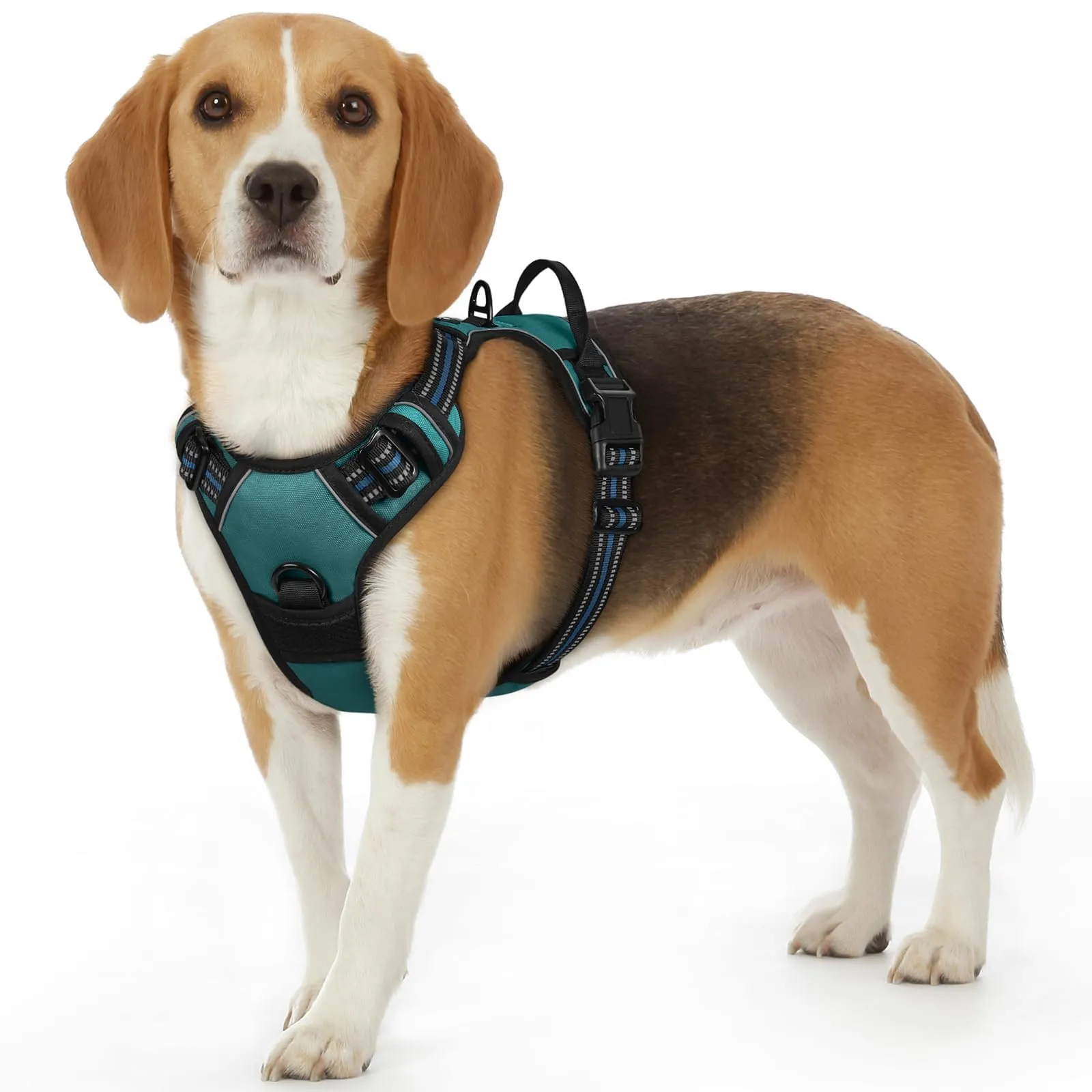 Eagloo Pettorina Cane ad H, Verde Scuro, Taglia S - immagine 1