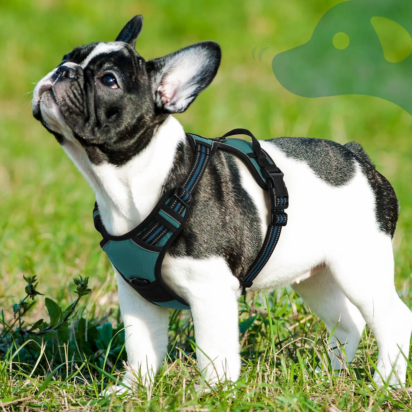 Eagloo Pettorina Cane ad H, Verde Scuro, Taglia S - immagine 9
