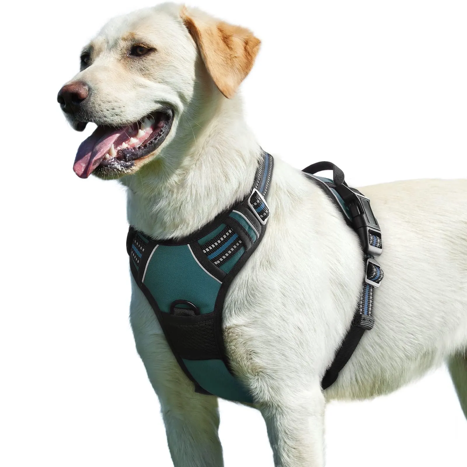 Eagloo Pettorina Cane ad H, Verde Scuro, Taglia L - immagine 1