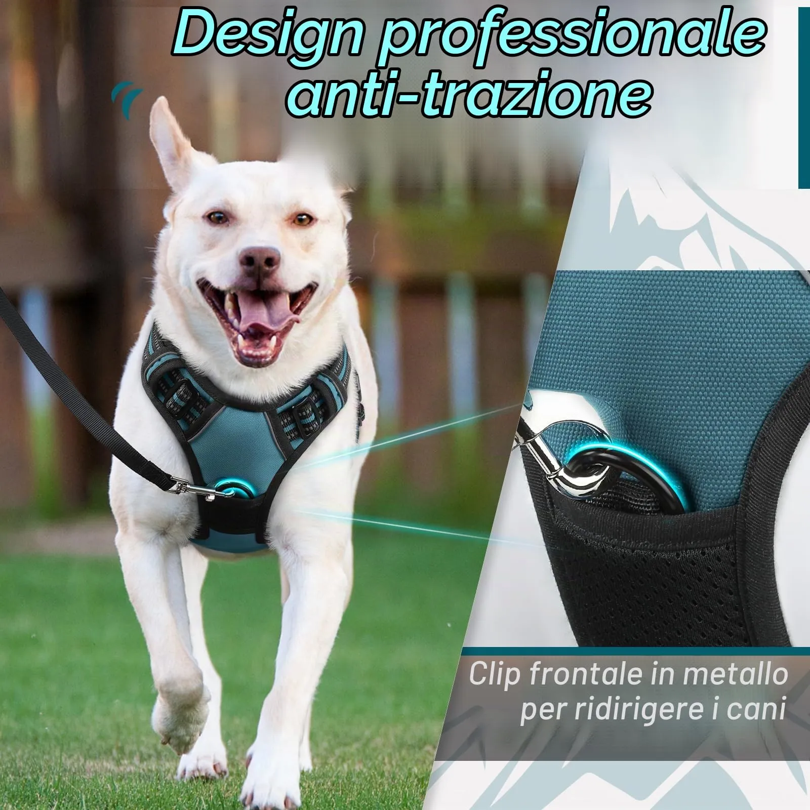 Eagloo Pettorina Cane ad H, Verde Scuro, Taglia L - immagine 3
